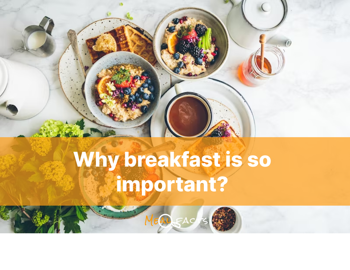 Why breakfast is so important? - Meal Facts